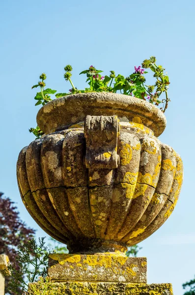 Macetas de hormigón en el jardín sobre un pedestal estilizado antiqu — Foto de Stock