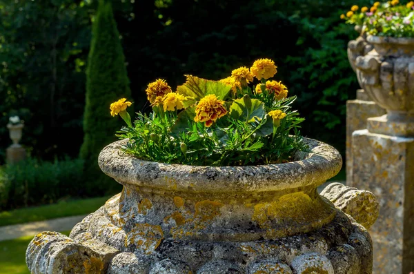Macetas de hormigón en el jardín sobre un pedestal estilizado antiqu — Foto de Stock