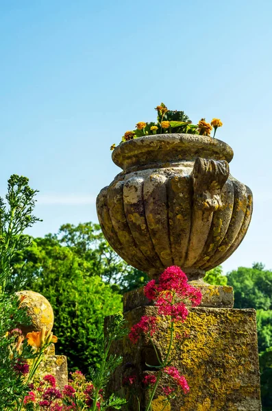 Antiqu beton bir kaide üzerinde Bahçe saksı stilize