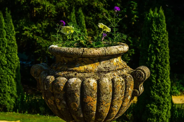 Concrete flower pots in the garden on a pedestal stylized antiqu Stock Picture