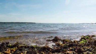 Okyanus, güzel mavi su, dalgalar kıyıya yıkama yosun ile çakıl plaj