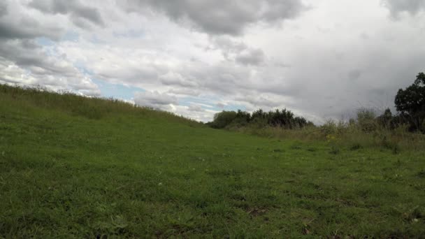 Beau parc verdoyant, un lieu de détente et de sport actif, vert dans la ville 