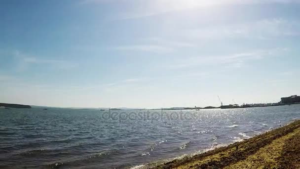 Playa de guijarros con algas sobre el océano, hermosa agua azul, olas lavando la orilla — Vídeos de Stock