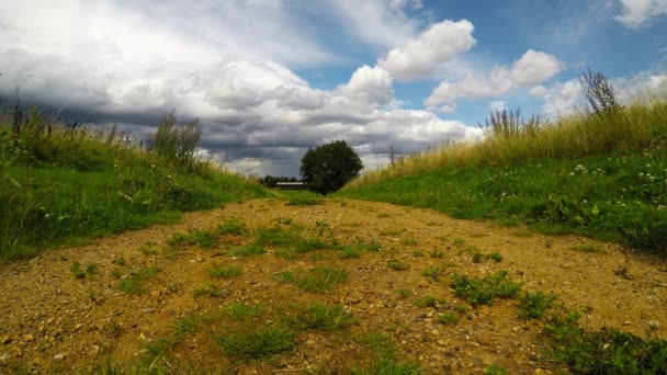 Caminho a pé em um belo parque verde, um lugar de relaxamento e esporte ativo, verde na cidade — Vídeo de Stock