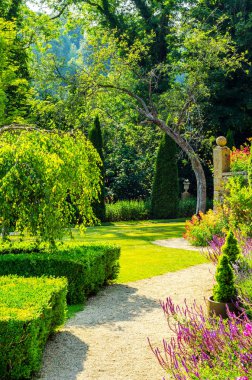 Taze bitki örtüsü, kesilmiş yeşil park park walkin, bakımlı