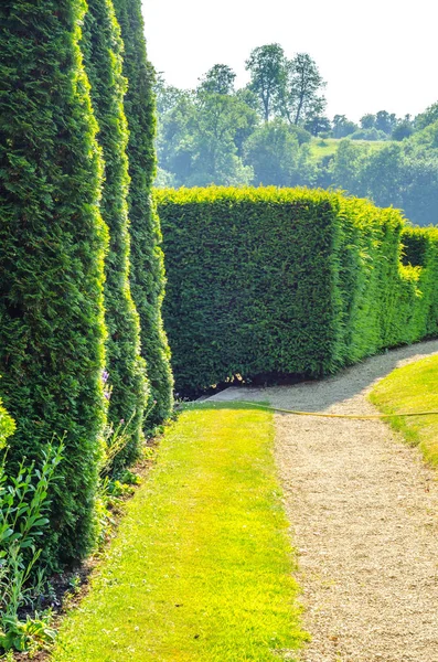 Taze bitki örtüsü, kesilmiş yeşil park park walkin, bakımlı — Stok fotoğraf