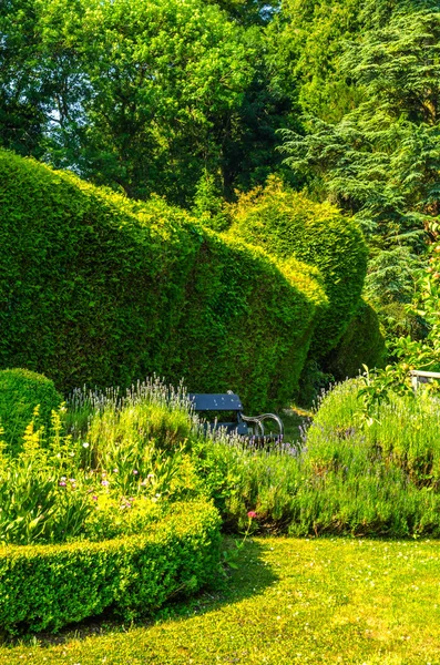 Taze bitki örtüsü, kesilmiş yeşil park park walkin, bakımlı
