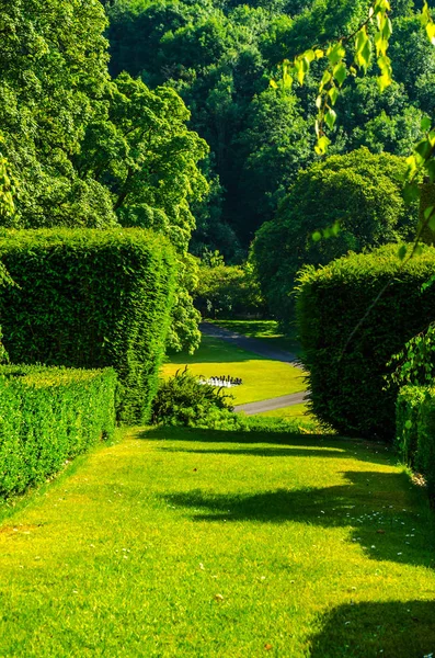 Frissen vágott növényzet, zöld park ápolt park, walkin — Stock Fotó