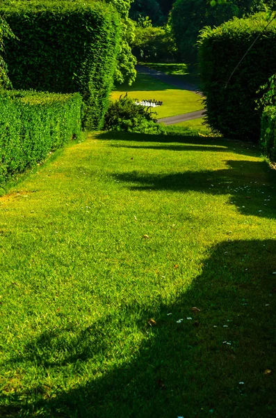 Taze bitki örtüsü, kesilmiş yeşil park park walkin, bakımlı