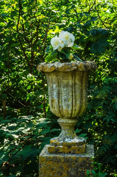 Macetas de hormigón en el jardín sobre un pedestal estilizado antiqu — Foto de Stock