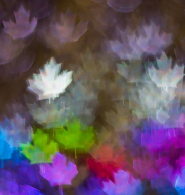 Farklı renkli yaprak, soyut backg güzel arka plan