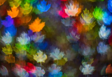 Farklı renkli yaprak, soyut backg güzel arka plan