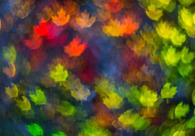 Farklı renkli yaprak, soyut backg güzel arka plan