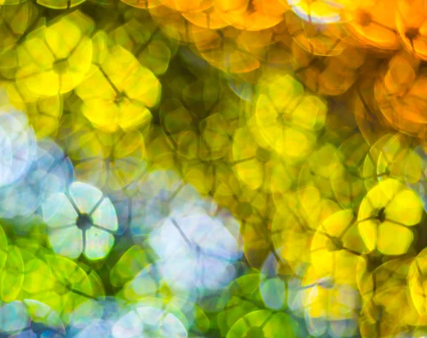 Különböző színű virág, absztrakt ba gyönyörű háttér — Stock Fotó