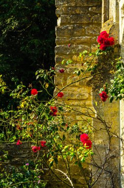 Antika stili, kaideleri üzerinde taş süslemeler güzel park,