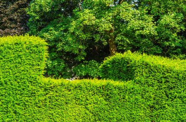 Antika stili, kaideleri üzerinde taş süslemeler güzel park,