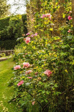Antika stili, kaideleri üzerinde taş süslemeler güzel park,
