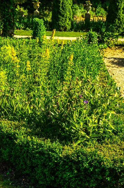 Antika stili, kaideleri üzerinde taş süslemeler güzel park,