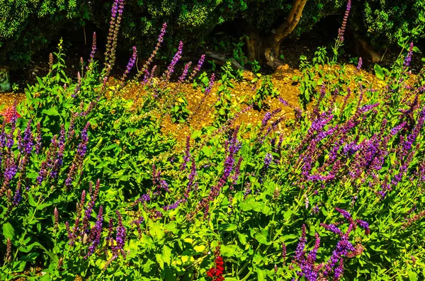 Antika stili, kaideleri üzerinde taş süslemeler güzel park,