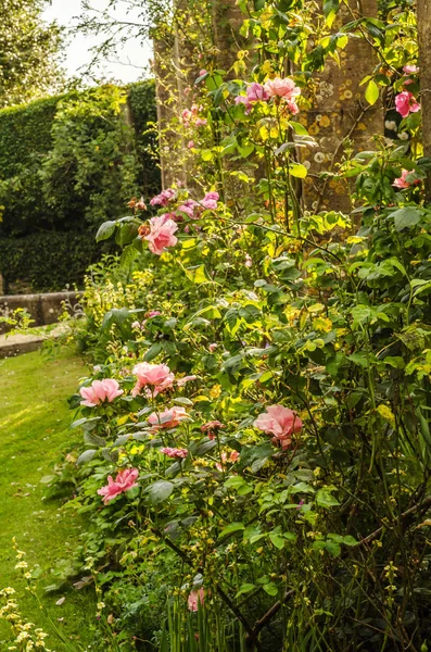 Antika stili, kaideleri üzerinde taş süslemeler güzel park,