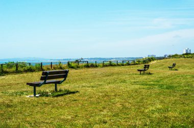 Boş bir tepe üzerinde okyanus kıyısında, yeşil yemyeşil bitki örtüsü bankta,