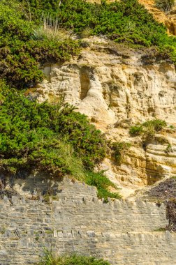 Seaside kumtaşı hillside ot ve çalılar, geolog ile kaplı