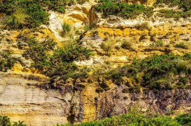 Seaside kumtaşı hillside ot ve çalılar, geolog ile kaplı