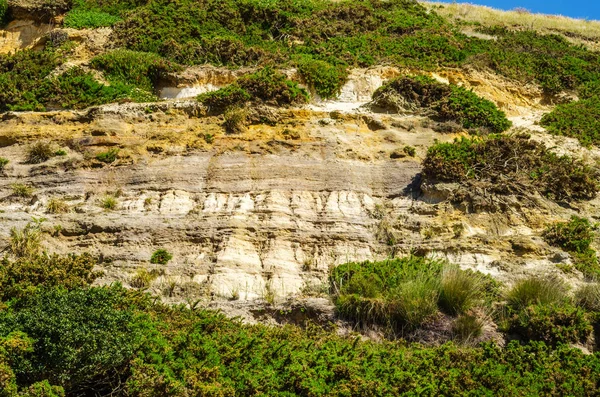 Seaside kumtaşı hillside ot ve çalılar, geolog ile kaplı