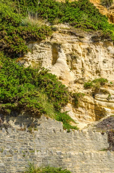 Seaside kumtaşı hillside ot ve çalılar, geolog ile kaplı