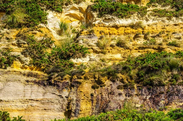 Seaside sandstone hillside covered with grass and bushes, geolog — Stock Photo, Image