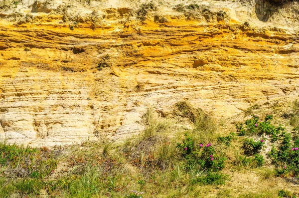 Lungomare arenaria collina coperta di erba e cespugli, geolog — Foto Stock