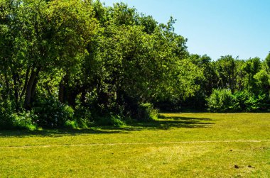 Taze bitki örtüsü, kesilmiş yeşil park park walkin, bakımlı