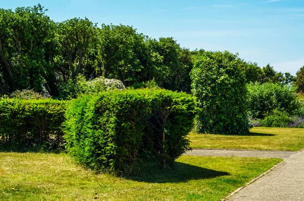 Grüner Park, frisch gemähte Vegetation, gepflegter Park, Spazierweg — Stockfoto