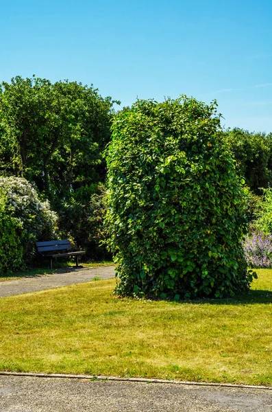 Leere Bank im Park im Badeort, Ruheplatz, gr — Stockfoto