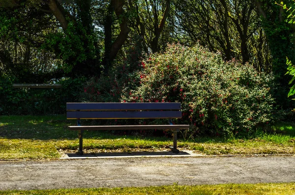 Banco vacío en el parque en el balneario, lugar de descanso, gr — Foto de Stock