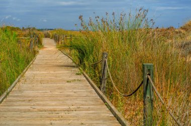 kumlu plaja pa lider dunes içinde ahşap tahta