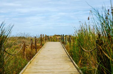 kumlu plaja pa lider dunes içinde ahşap tahta