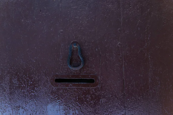Puerta con golpeador de latón en forma de decoración, hermoso entr — Foto de Stock