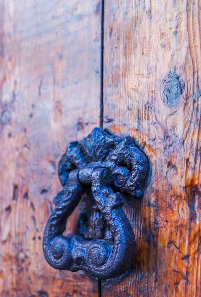 Tür mit Messingklopfer in der Form eines Dekors, schöne Eingangstür — Stockfoto