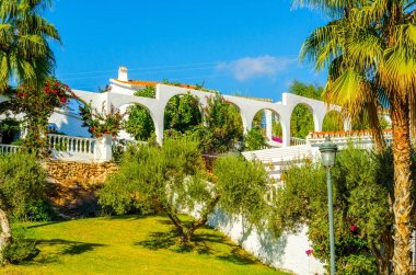 güzel Yayilim palmiye ağacı sahilde, egzotik bitkiler sembolü