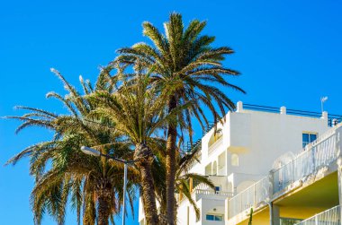 Şık balkon korkuluk, bir metal katı mimari elemen