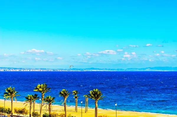 Mooie verspreiden palmboom op het strand, exotische planten symbool — Stockfoto