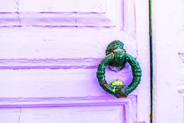 Door with brass knocker in the shape of a decor,  beautiful entr — Stock Photo, Image