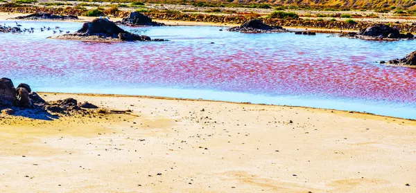 Różowe jezioro w Hiszpanii, niezwykłe zjawisko, mineralne wpływ na wat — Zdjęcie stockowe