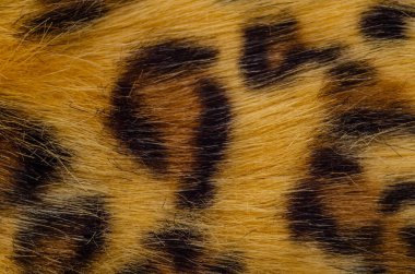 Kürk makro resminin arkaplan ve dokusu, yapay kumaş, desen