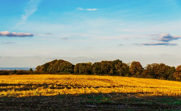 Prado Verde Inglês Dia Ensolarado Uma Paisagem Rural Típica Paisagem — Fotografia de Stock