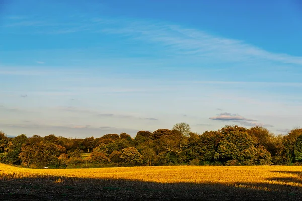 Prado Verde Inglês Dia Ensolarado Uma Paisagem Rural Típica Paisagem — Fotografia de Stock