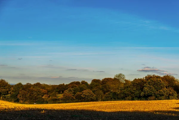 English Green Meadow Sunny Day Typical Rural Landscape British Countryside — Stock Photo, Image