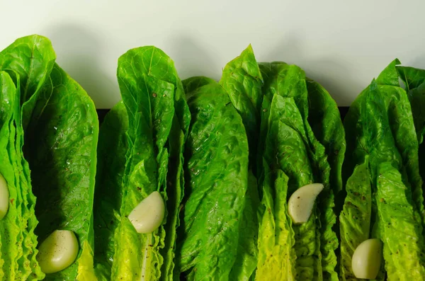 Fresh, cut romaine lettuce with garlic, pepper and salt, meal preparation — Stock Image Fresh Cut Romaine Lettuce Garlic Pepper Salt Meal Preparation Royalty Free Stock Images
