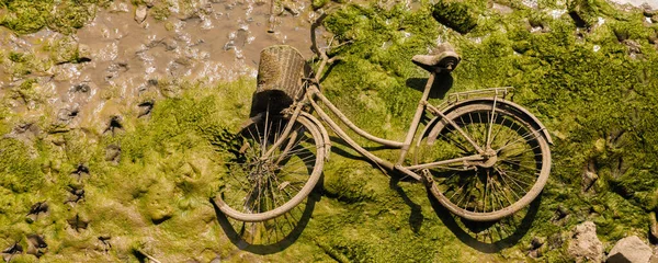 Викинутий Велосипед Плетеним Кошиком Каналу Типовий Приклад Забруднення Навколишнього Середовища — стокове фото
